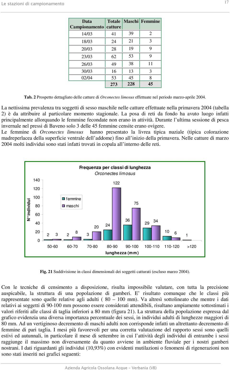 La nettissima prevalenza tra soggetti di sesso maschile nelle catture effettuate nella primavera 2004 (tabella 2) è da attribuire al particolare momento stagionale.