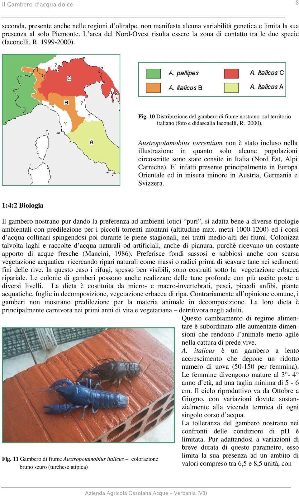 10 Distribuzione del gambero di fiume nostrano sul territorio italiano (foto e didascalia Iaconelli, R. 2000).