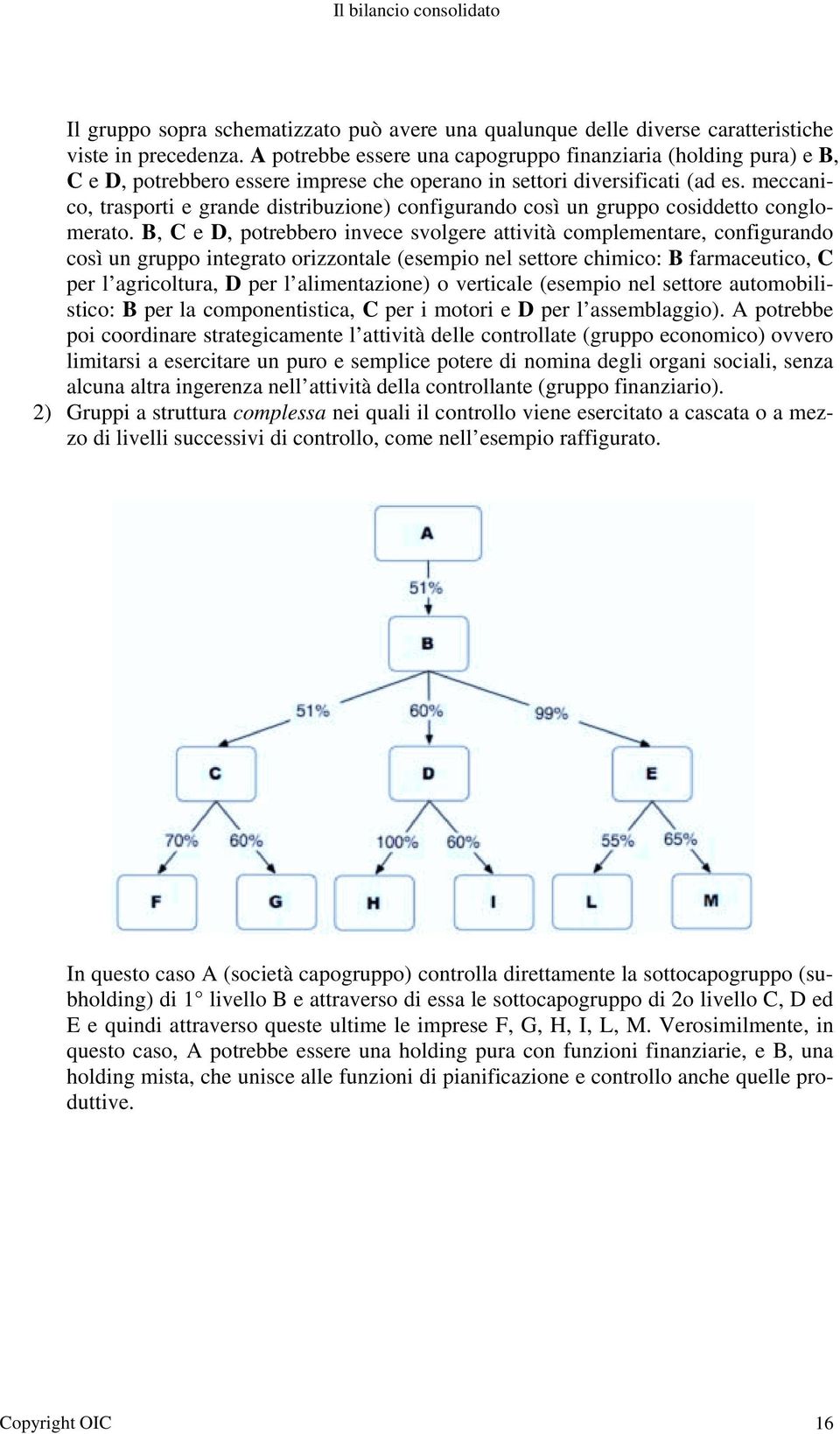 meccanico, trasporti e grande distribuzione) configurando così un gruppo cosiddetto conglomerato.