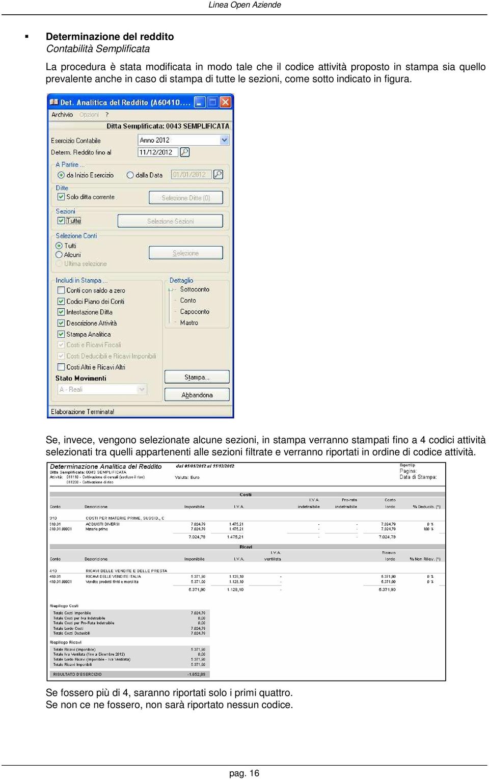 Se, invece, vengono selezionate alcune sezioni, in stampa verranno stampati fino a 4 codici attività selezionati tra quelli appartenenti alle