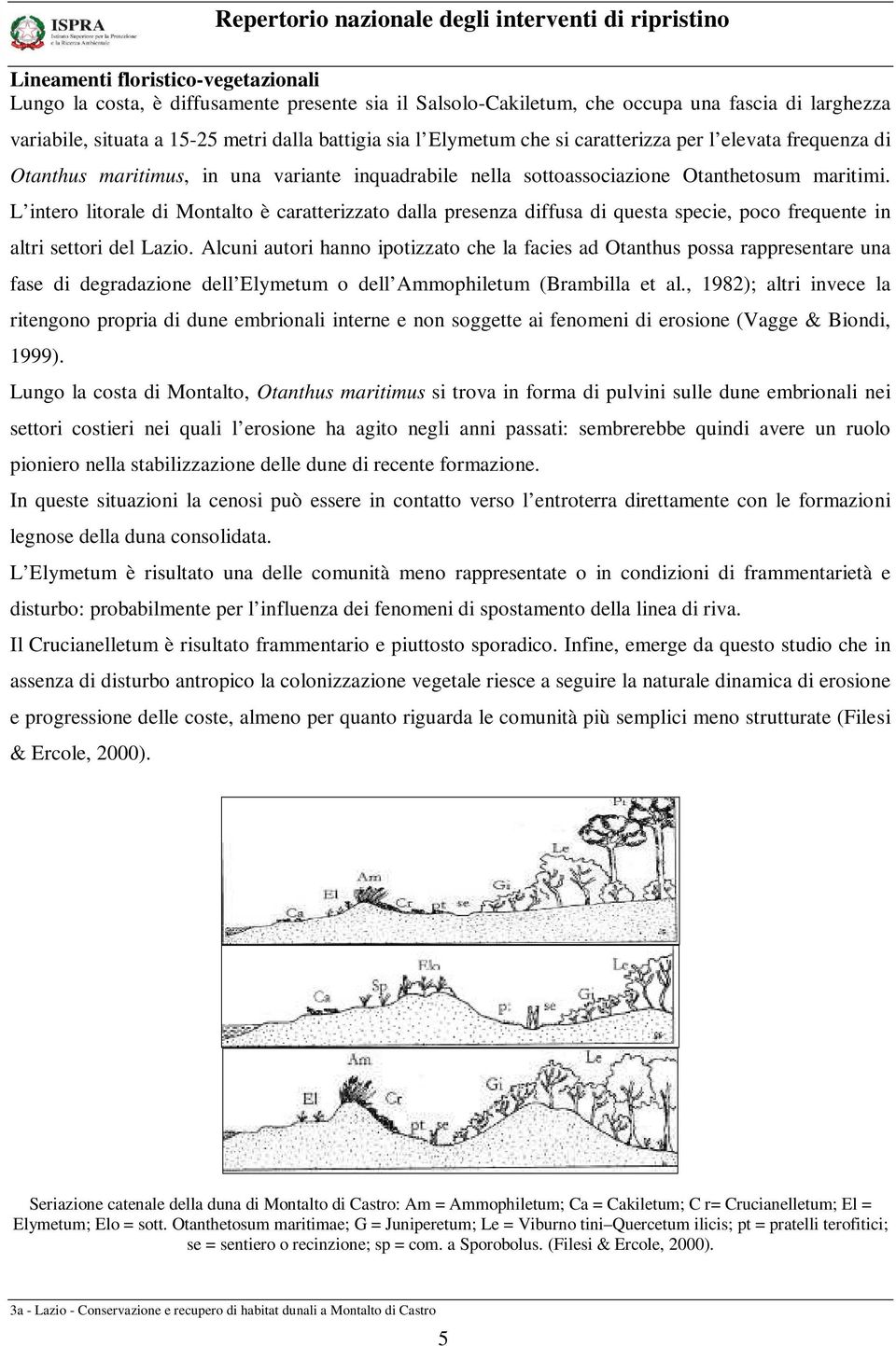 L intero litorale di Montalto è caratterizzato dalla presenza diffusa di questa specie, poco frequente in altri settori del Lazio.