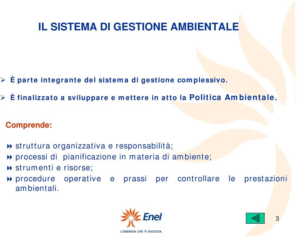 Comprende: struttura organizzativa e responsabilità; processi di pianificazione in materia