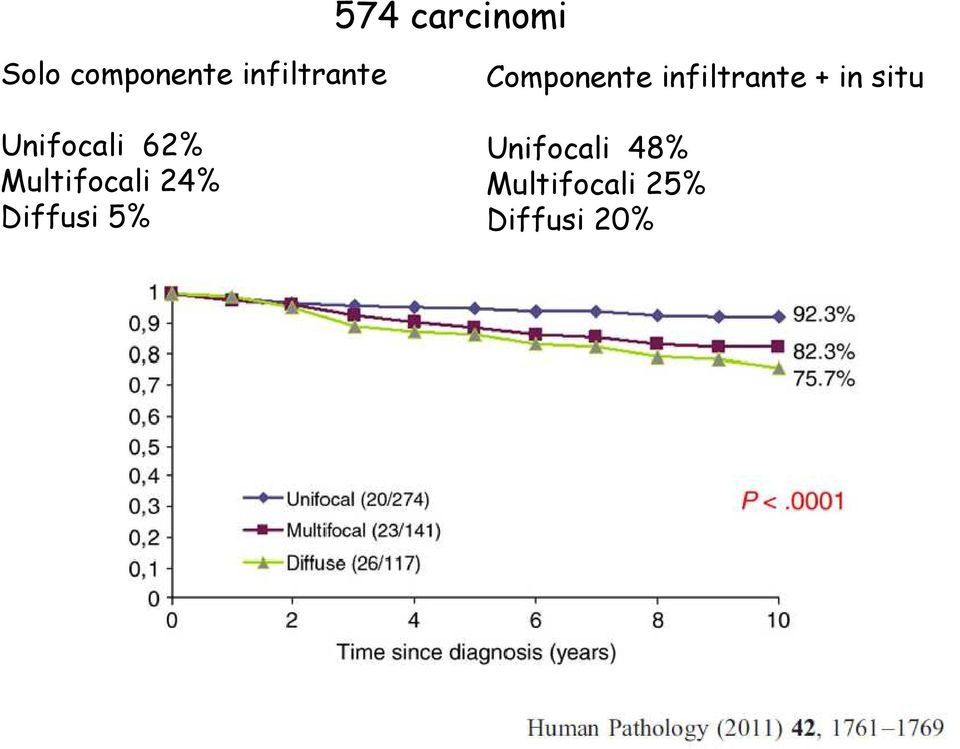 24% Diffusi 5% Componente infiltrante +