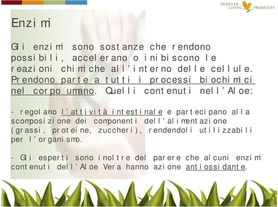 Quelli contenuti nell Aloe: - regolano l attività intestinale e partecipano alla scomposizione dei componenti dell alimentazione