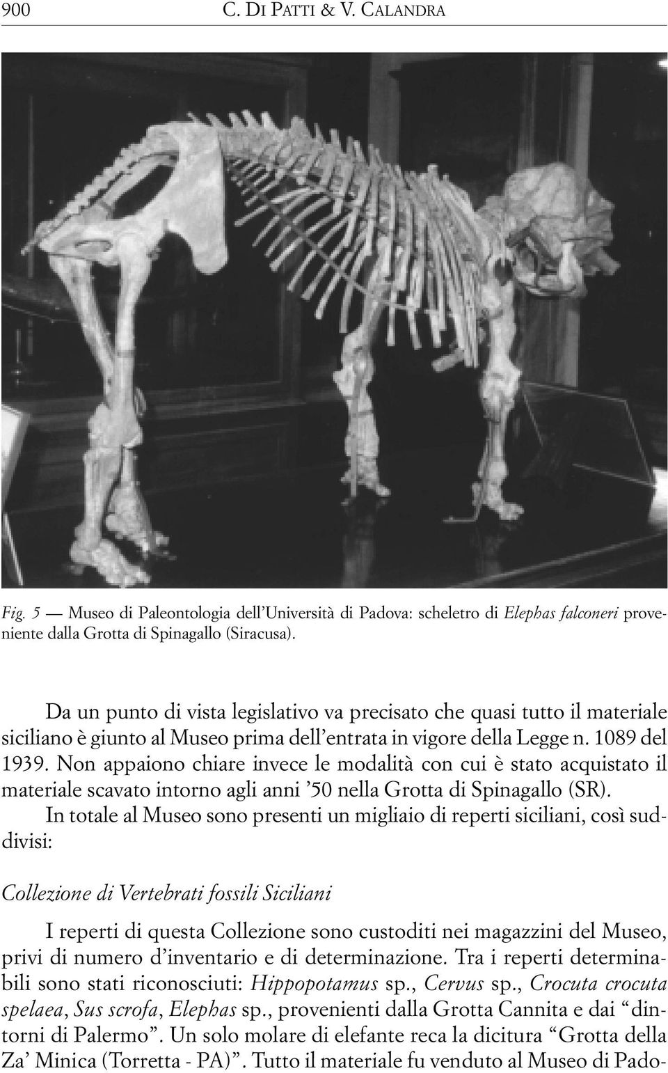 Non appaiono chiare invece le modalità con cui è stato acquistato il materiale scavato intorno agli anni 50 nella Grotta di Spinagallo (SR).