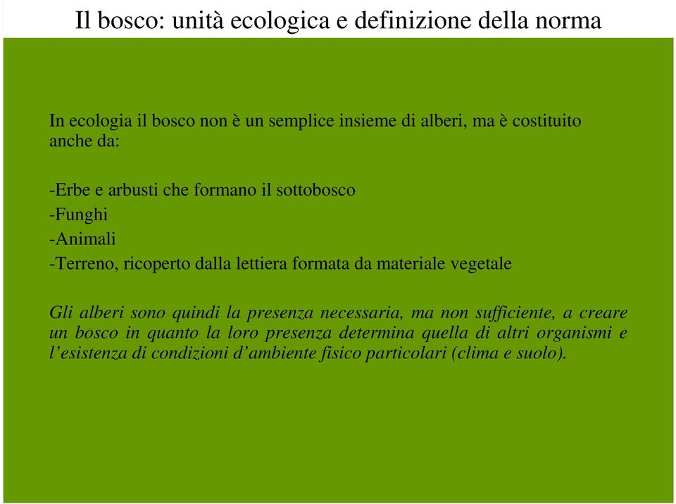 formata da materiale vegetale Gli alberi sono quindi la presenza necessaria, ma non sufficiente, a creare un bosco in