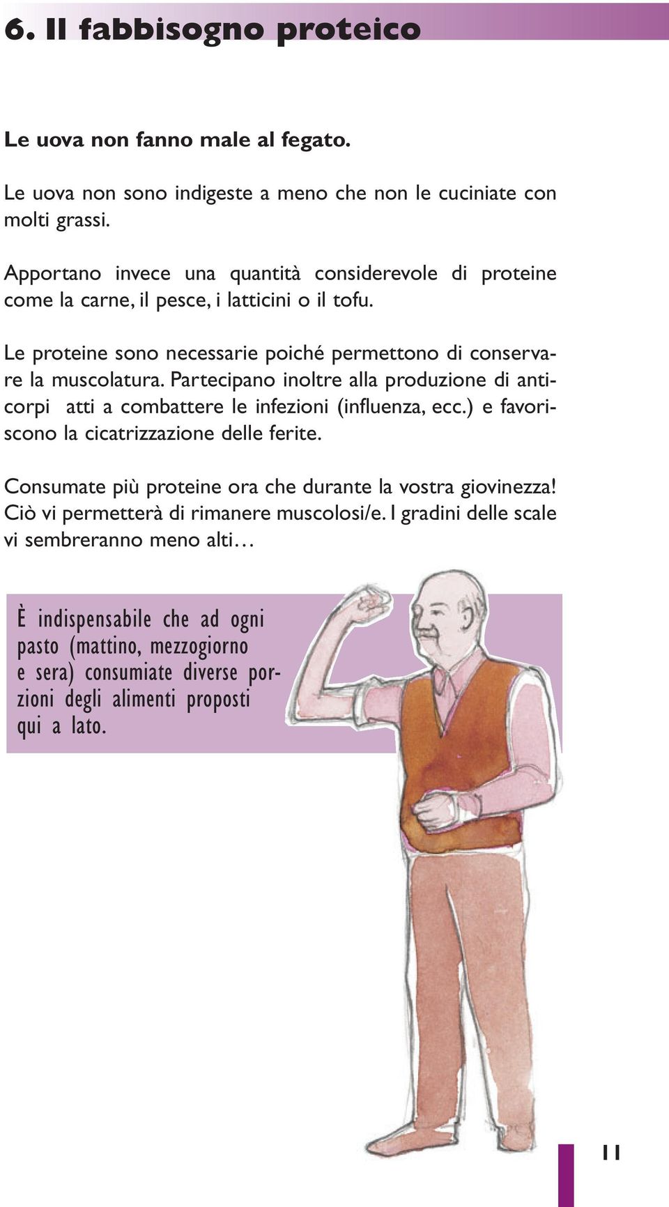 Partecipano inoltre alla produzione di anticorpi atti a combattere le infezioni (influenza, ecc.) e favoriscono la cicatrizzazione delle ferite.