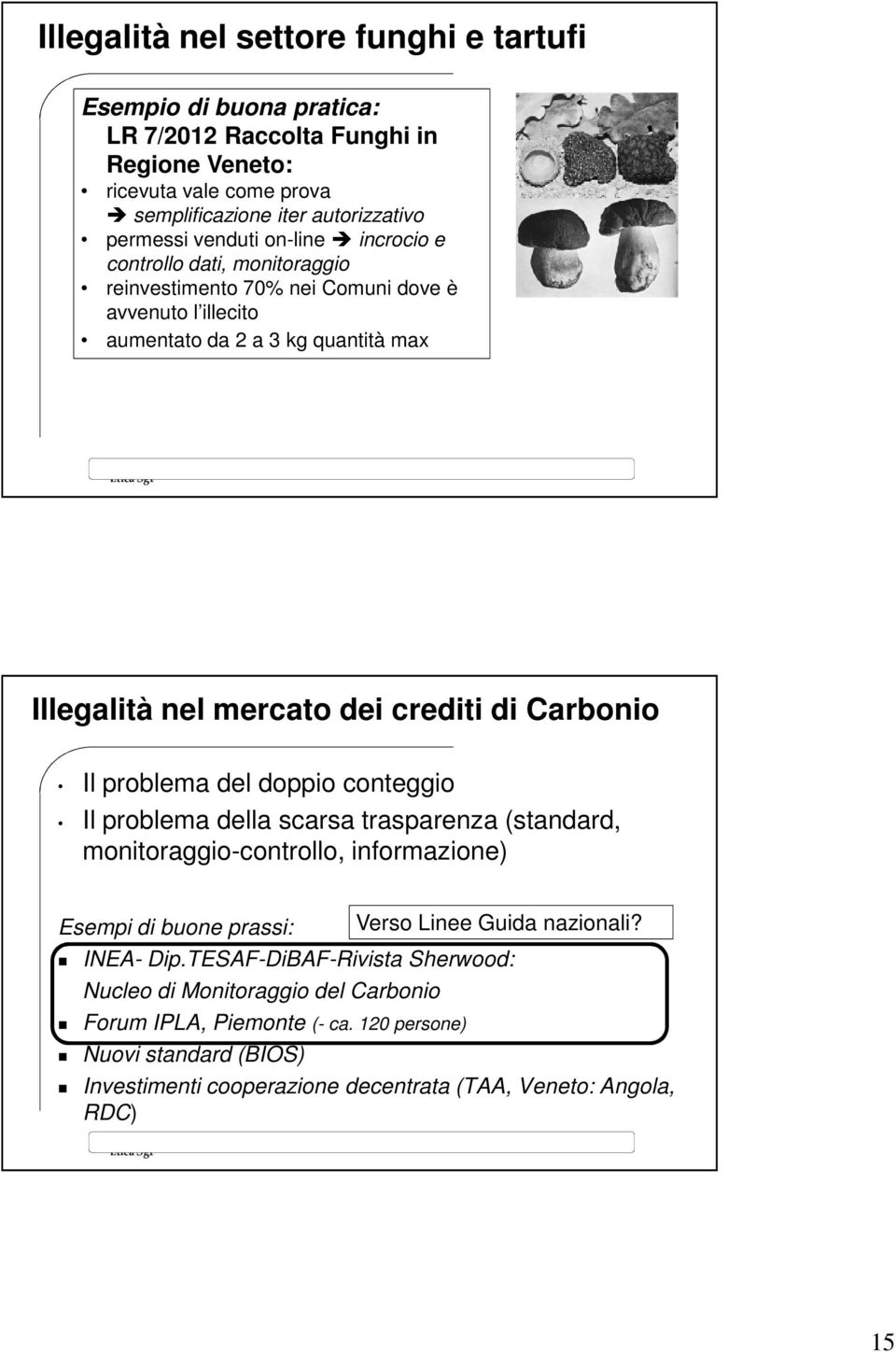 Il problema del doppio conteggio Il problema della scarsa trasparenza (standard, monitoraggio-controllo, informazione) Esempi di buone prassi: INEA- Dip.