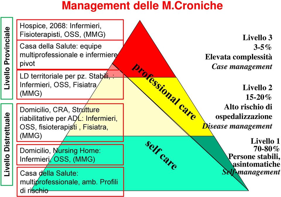 infermiere pivot LD territoriale per pz.