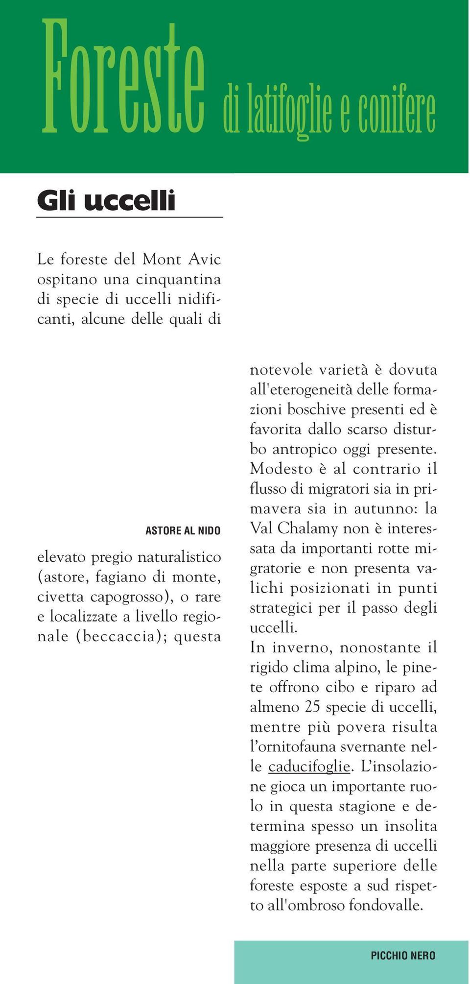 favorita dallo scarso disturbo antropico oggi presente.