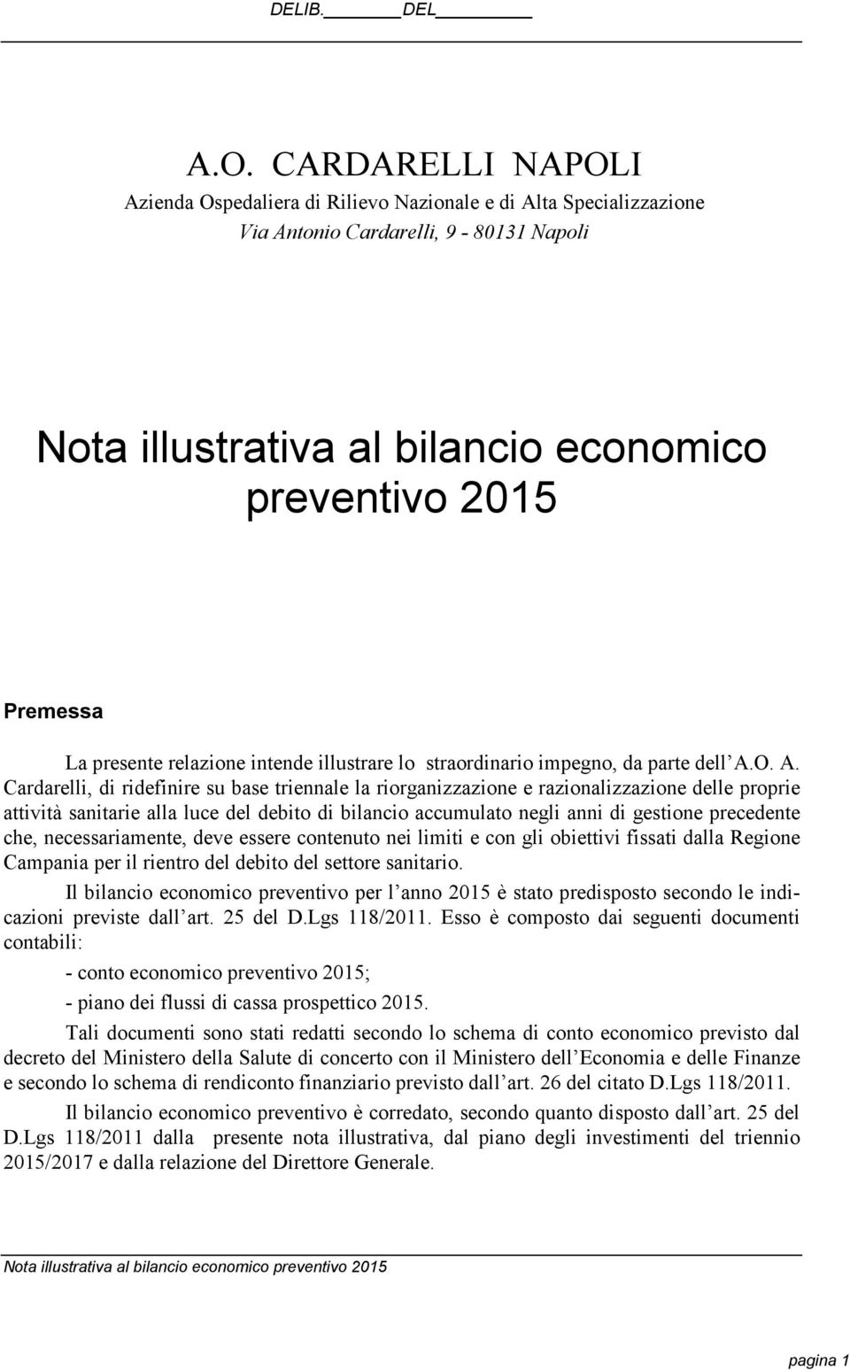 O. A. Cardarelli, di ridefinire su base triennale la riorganizzazione e razionalizzazione delle proprie attività sanitarie alla luce del debito di bilancio accumulato negli anni di gestione