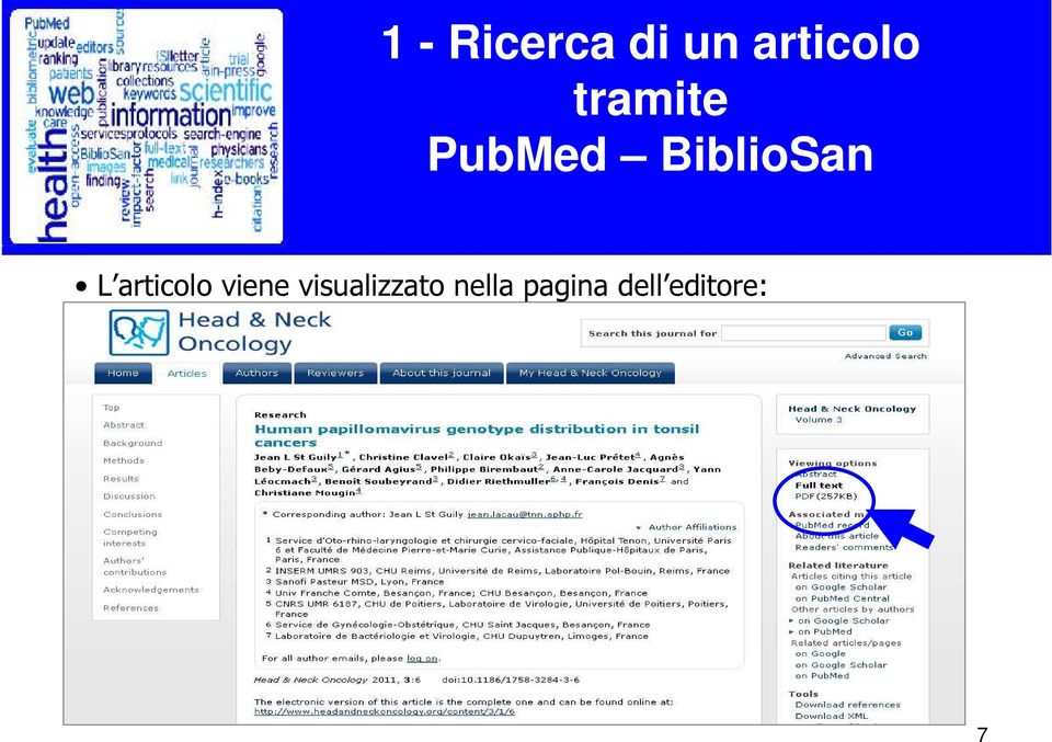 articolo viene visualizzato