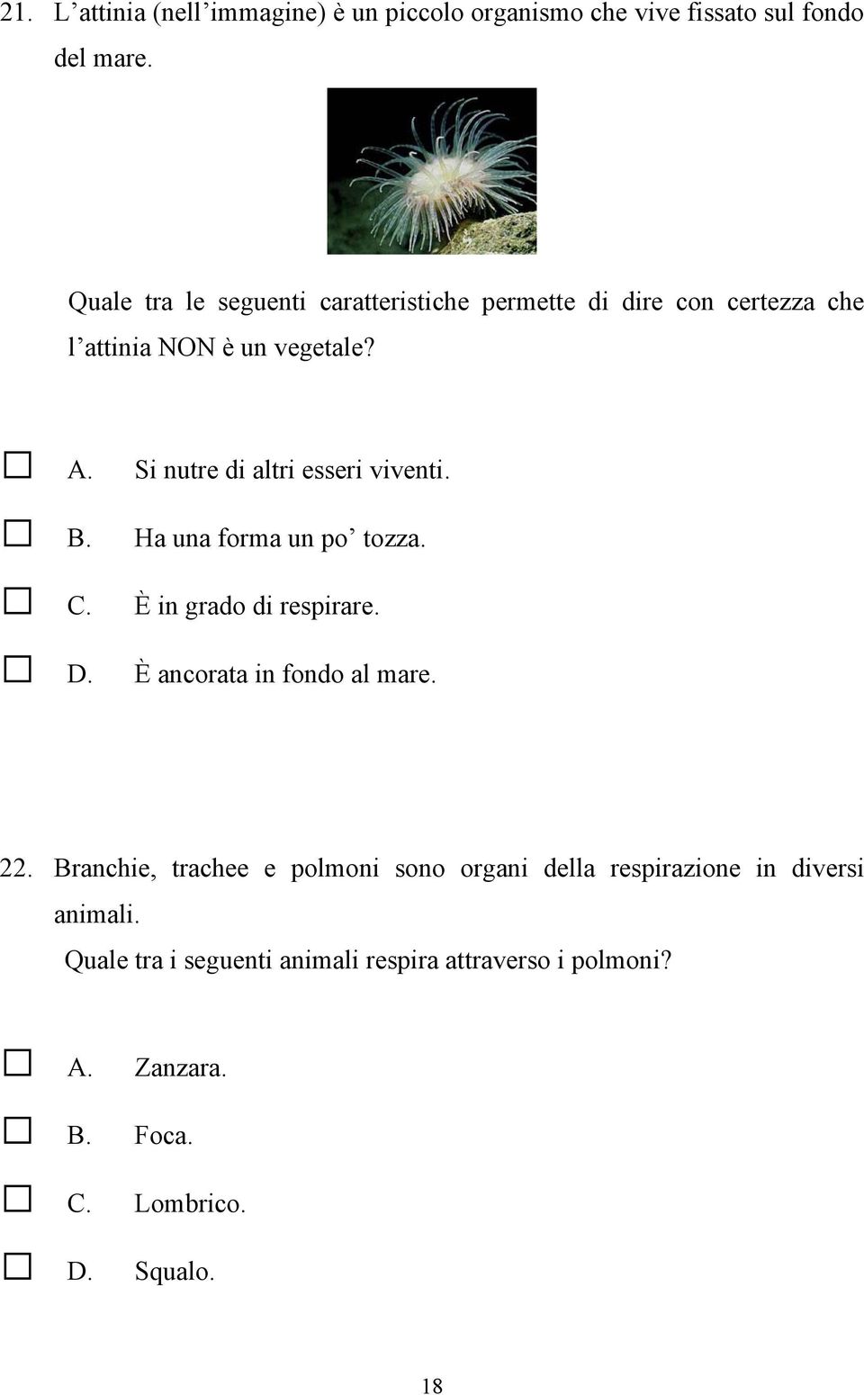 Si nutre di altri esseri viventi. Ha una forma un po tozza. È in grado di respirare. È ancorata in fondo al mare. 22.