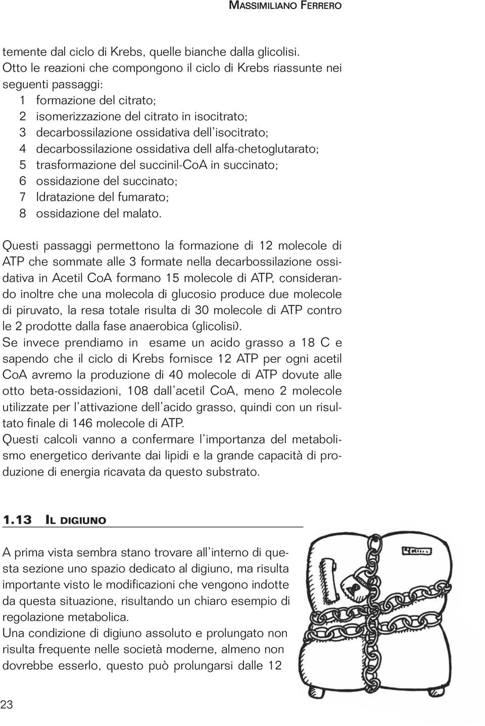 isocitrato; 4 decarbossilazione ossidativa dell alfa-chetoglutarato; 5 trasformazione del succinil-coa in succinato; 6 ossidazione del succinato; 7 Idratazione del fumarato; 8 ossidazione del malato.