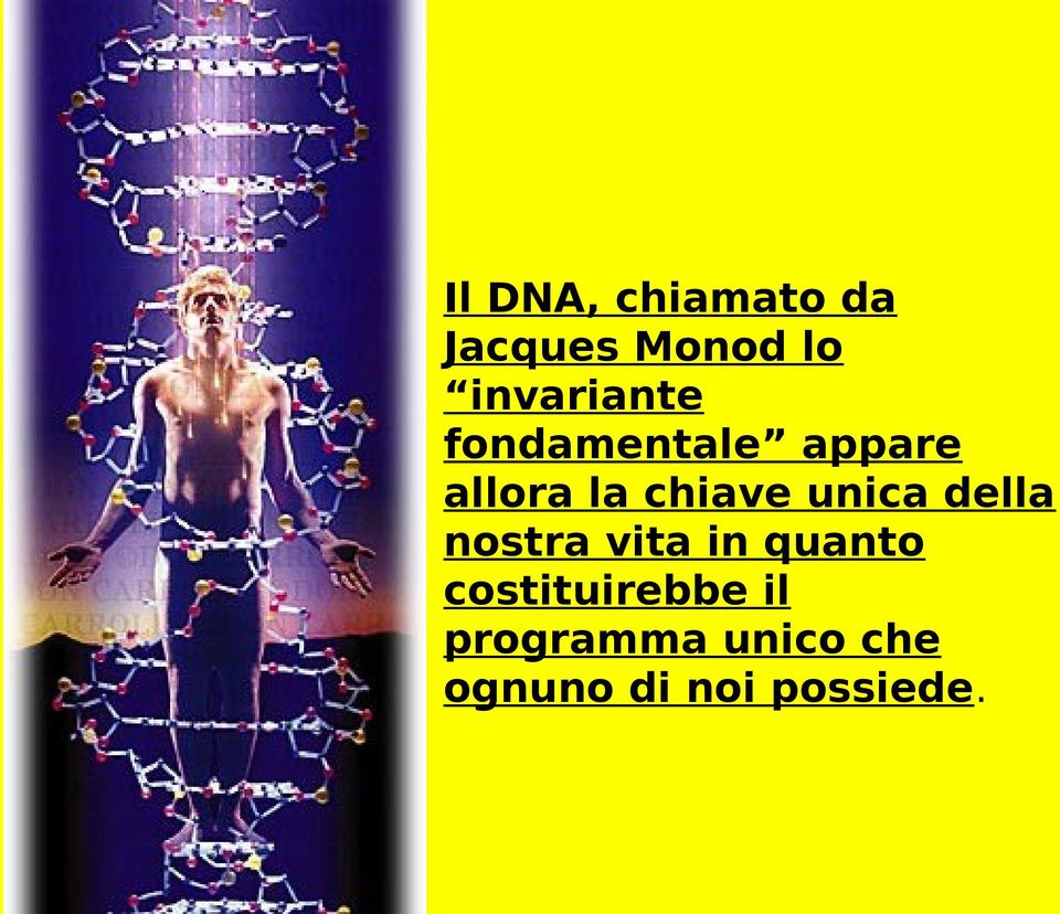 chiave unica della nostra vita in quanto