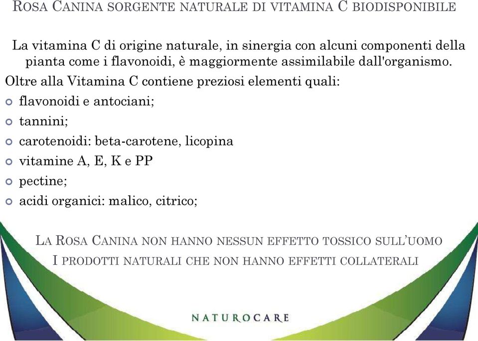 Oltre alla Vitamina C contiene preziosi elementi quali: flavonoidi e antociani; tannini; carotenoidi: beta-carotene, licopina