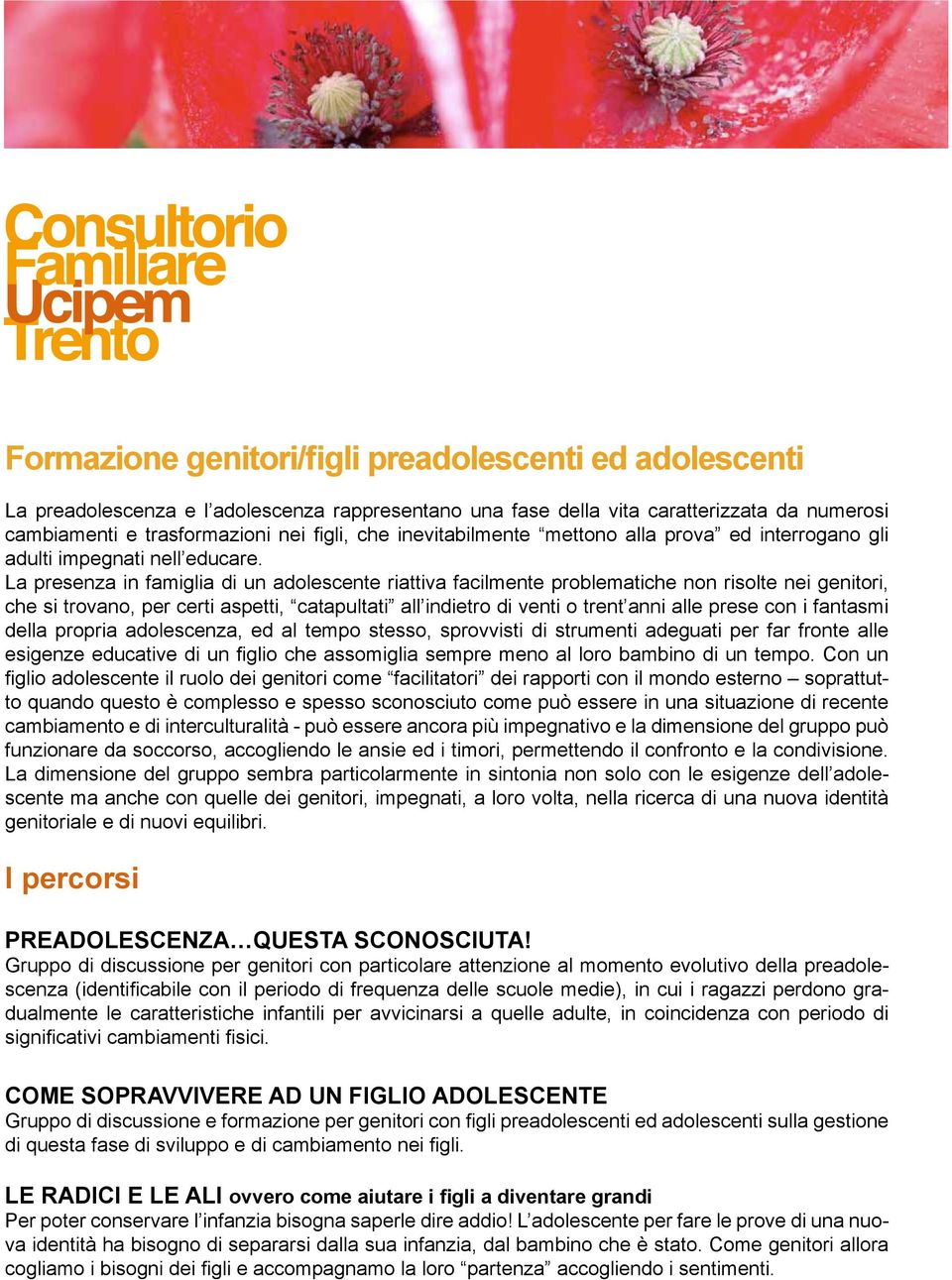 La presenza in famiglia di un adolescente riattiva facilmente problematiche non risolte nei genitori, che si trovano, per certi aspetti, catapultati all indietro di venti o trent anni alle prese con