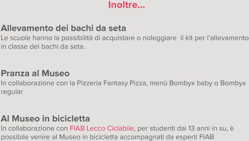 Pranza al Museo In collaborazione con la Pizzeria Fantasy Pizza, menù Bombyx baby o Bombyx regular Al