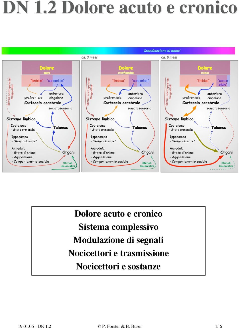 segnali Nocicettori e trasmissione Nocicettori