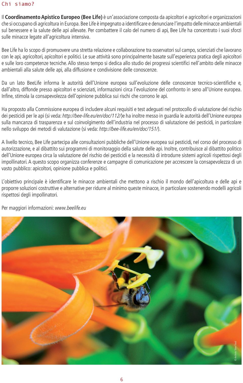 Per combattere il calo del numero di api, Bee Life ha concentrato i suoi sforzi sulle minacce legate all agricoltura intensiva.