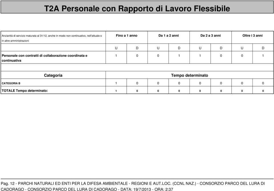 collaborazione coordinata e continuativa 1 0 0 1 1 0 0 1 Categoria Tempo determinato CATEGORIA B 1 0 0 0 0 0 0 0 TOTALE Tempo