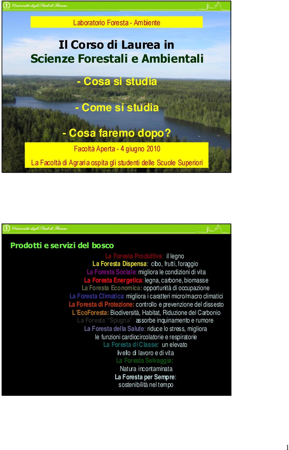 foraggio La Foresta Sociale: migliora le condizioni di vita La Foresta Energetica: legna, carbone, biomasse La Foresta Economica: opportunità di occupazione La Foresta Climatica: migliora i caratteri