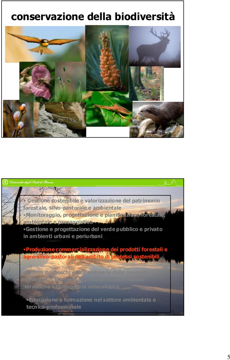 commercializzazione dei prodotti forestali e agro-silvo-pastorali nell ambito di processi sostenibili Difesa dei boschi e dell ambiente dalle avversità