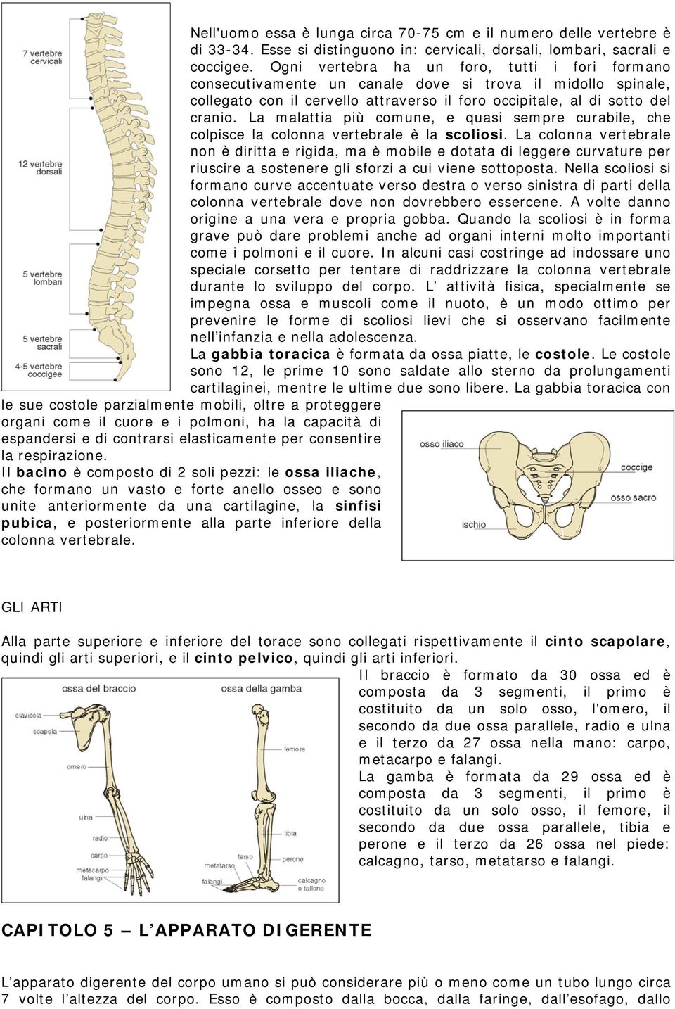 La malattia più comune, e quasi sempre curabile, che colpisce la colonna vertebrale è la scoliosi.