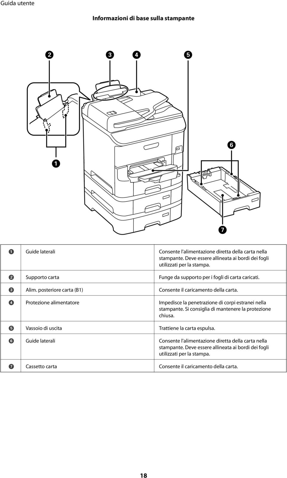 posteriore carta (B1) Consente il caricamento della carta. D Protezione alimentatore Impedisce la penetrazione di corpi estranei nella stampante.