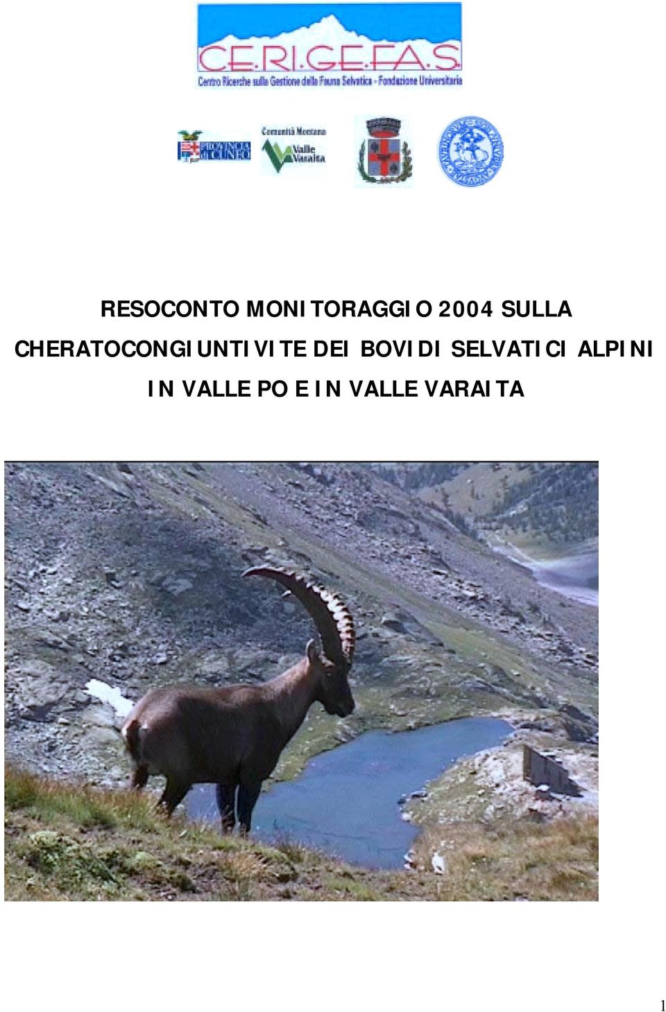 DEI BOVIDI SELVATICI ALPINI