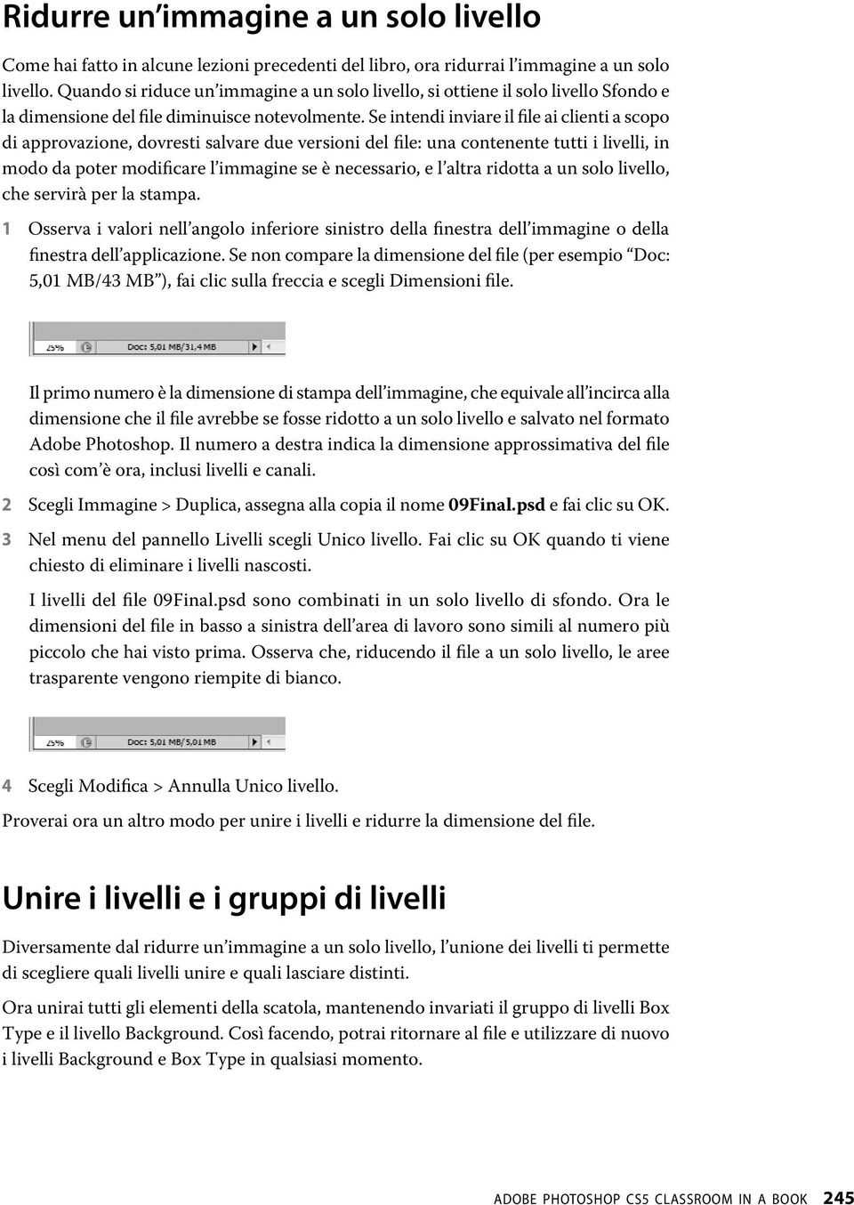 Se intendi inviare il file ai clienti a scopo di approvazione, dovresti salvare due versioni del file: una contenente tutti i livelli, in modo da poter modificare l immagine se è necessario, e l