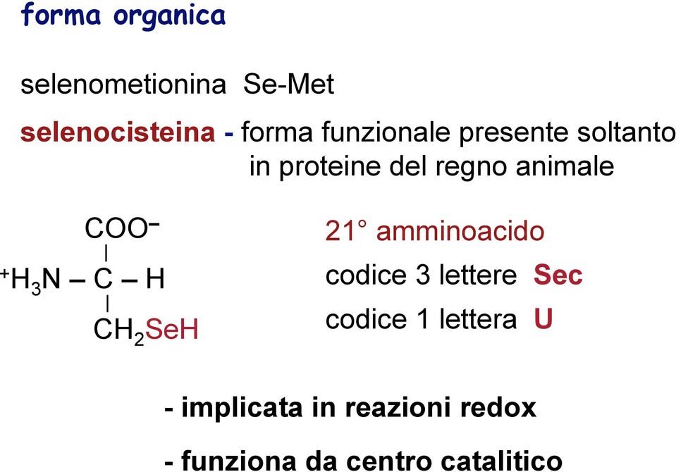 H 3 N C H CH 2 SeH 21 amminoacido codice 3 lettere Sec codice 1