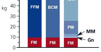 BCM=massa cellulare attiva TBW= acqua corporea