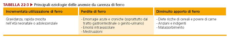 Anemia da carenza di Ferro (3) La maggior parte del Fe è legato all Hb, il rimanente alla mioglobina, in enzimi contenenti il gruppo eme o negli epatociti come ferritina.