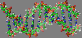 μ F H O H N H H 2 O μ = 2.3 D μ = 1.6 D μ = 1.