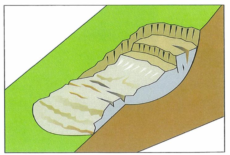 SCIVOLAMENTO ROTAZIONALE MATERIALE COINVOLTO: terreno coesivo ( superficie di scivolamento circolare), rocce tenere ( superficie di scivolamento non circolare) CINEMATISMO: scorrimento di masse di