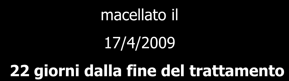 27 giorni complessivi di trattamento con antibiotici su 140 giorni di vita 1 giorno su 5!