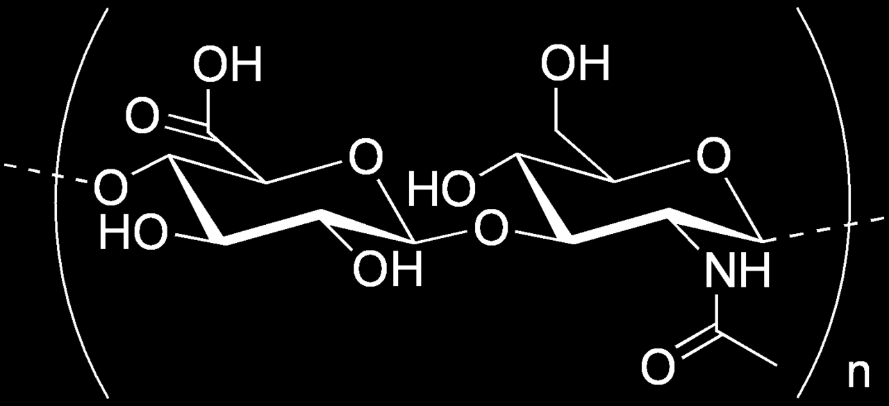 ACIDO IALURONICO Glucosamminoglicano non solforato e privo di core proteico, dalla catena polisaccaridica non ramificata prodotta dalla condensazione di migliaia di unità disaccaridiche formate a