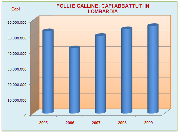 IL MERCATO DELLE CARNI: