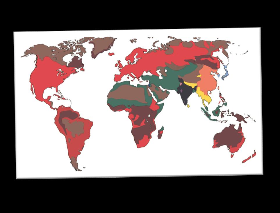 AREE GEOGRAFICHE 1.