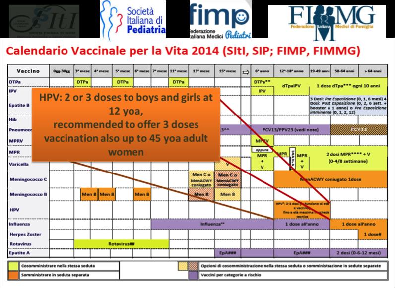 Raccomandazioni della vaccinazione della donna adulta Calendario per la vita La vaccinazione HPV è raccomandata comunque, anche se in regime di compartecipazione alla spesa, per tutte le donne