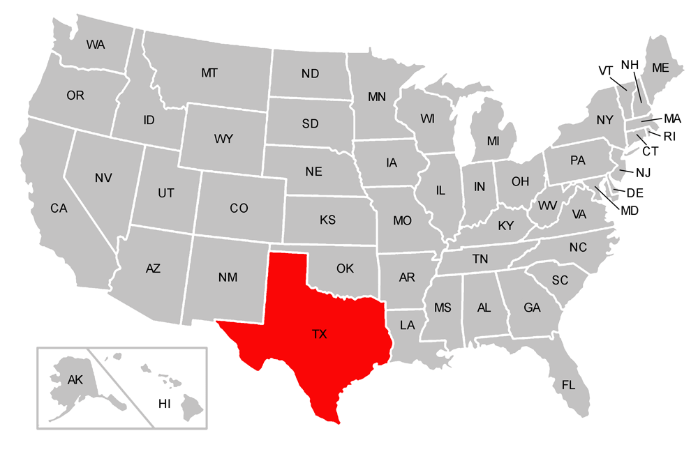 THE LONE STAR STATE Popolazione: 26.500.000 Superficie: 1.696.241 kmq Città principali: Houston 6.4 mil Dallas 4.6 mil San Antonio 2.