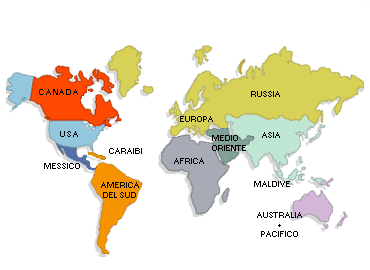 La nuova organizzazione