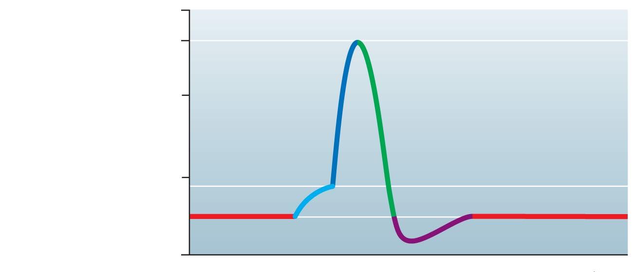 Potenziale di riposo Tempo (ms) 1 La