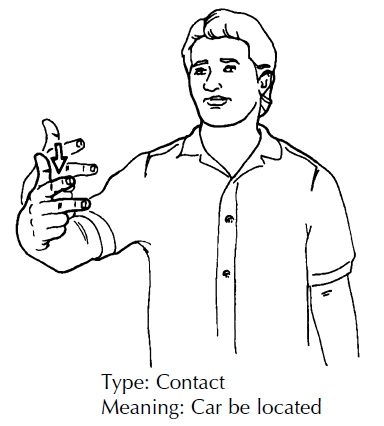 Lingue dei segni: "segni che veicolano distinzioni legate alla forma e alla disposizione dei referenti a cui sono applicati" (Russo Cardona, T., Volterra, V., 2007, Le lingue dei segni.