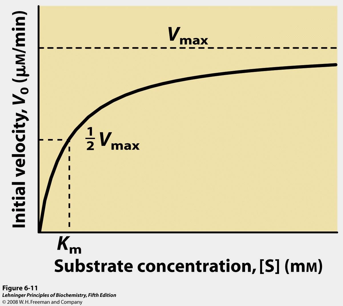 v 0 (μm/min) Equazione di Michaelis-Menten v 0 = Vmax [S] Km + [S] La velocità iniziale della reazione