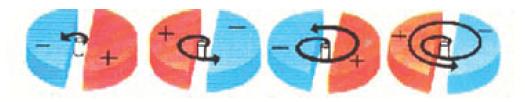 Il ciclotrone In campo magnetico, gli ioni carichi seguono traiettorie circolari in due camere semicircolari chiamate D connesse a un potenziale oscillante.