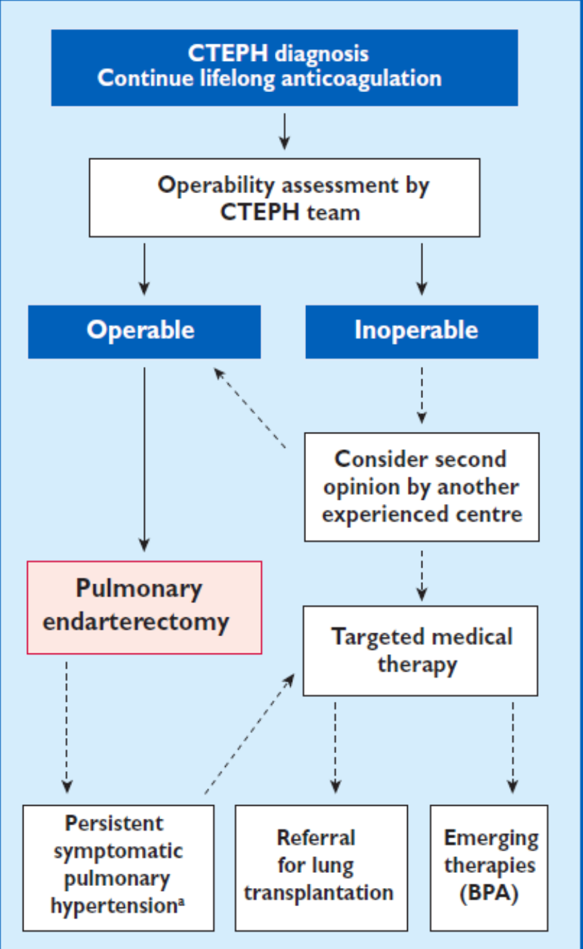 Chronic Thrombo-Embolic Pulmonary Hypertension: assessment