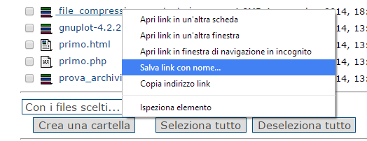 figura22 Si aprirà la classica finestra Salva con nome, scegliere un nome, quindi SALVA (figura23).