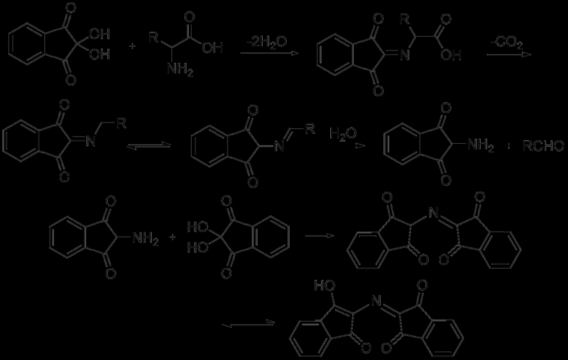 Analisi delle proteine negli alimenti Analisi quali/quantitativa amminoacidi Saggio della ninidrina